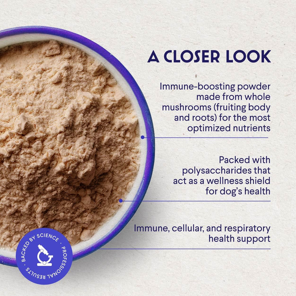 Wonder Paws turkey tail powder sprinkled on dog food for daily wellness.