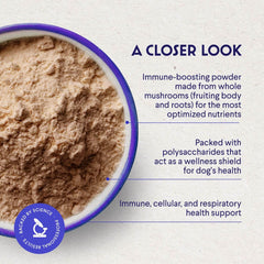 Wonder Paws turkey tail powder sprinkled on dog food for daily wellness.