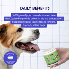 WONDER PAWS dog enjoying a meal with the supplement sprinkled on top