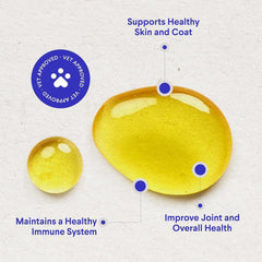 Wonder Paws dog food mixing showing coat and skin support options