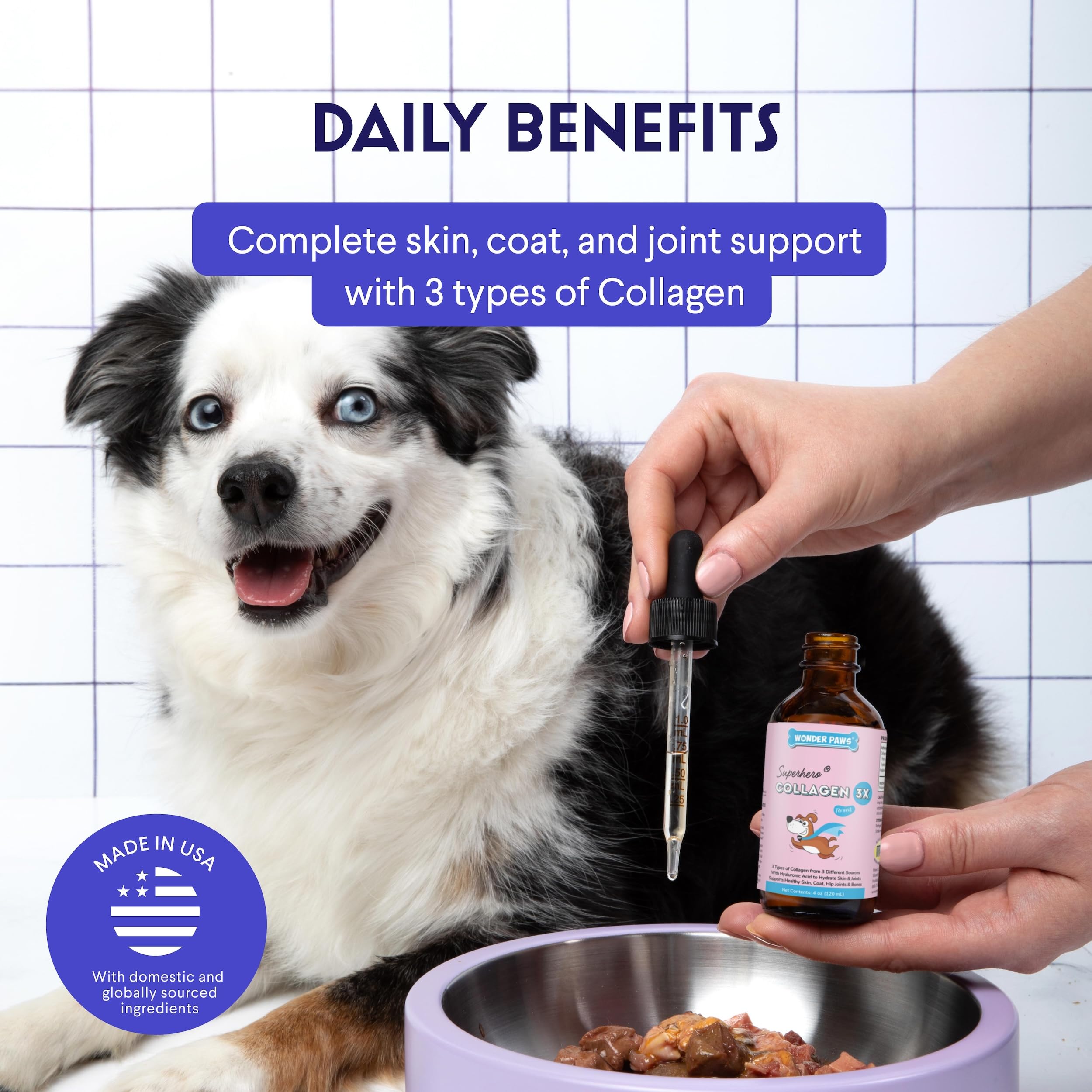 Wonder Paws joint support visuals highlight mobility aid