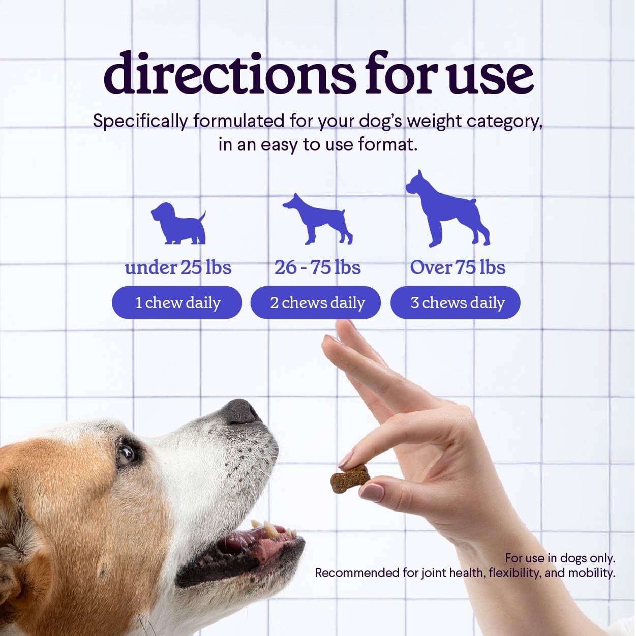 Wonder Paws packaging with dog paw logo signals trusted all-ages joint support.