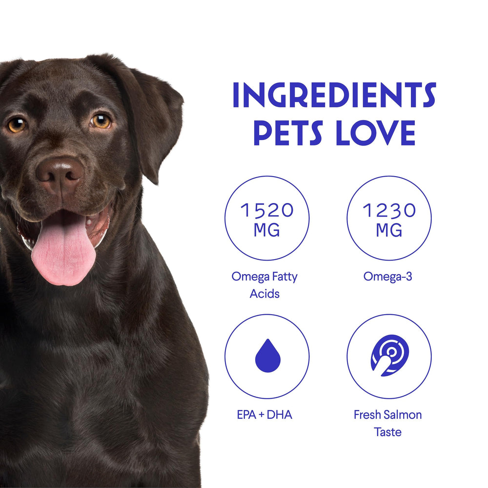 Wonder Paws dog with glossy coat after daily supplement.