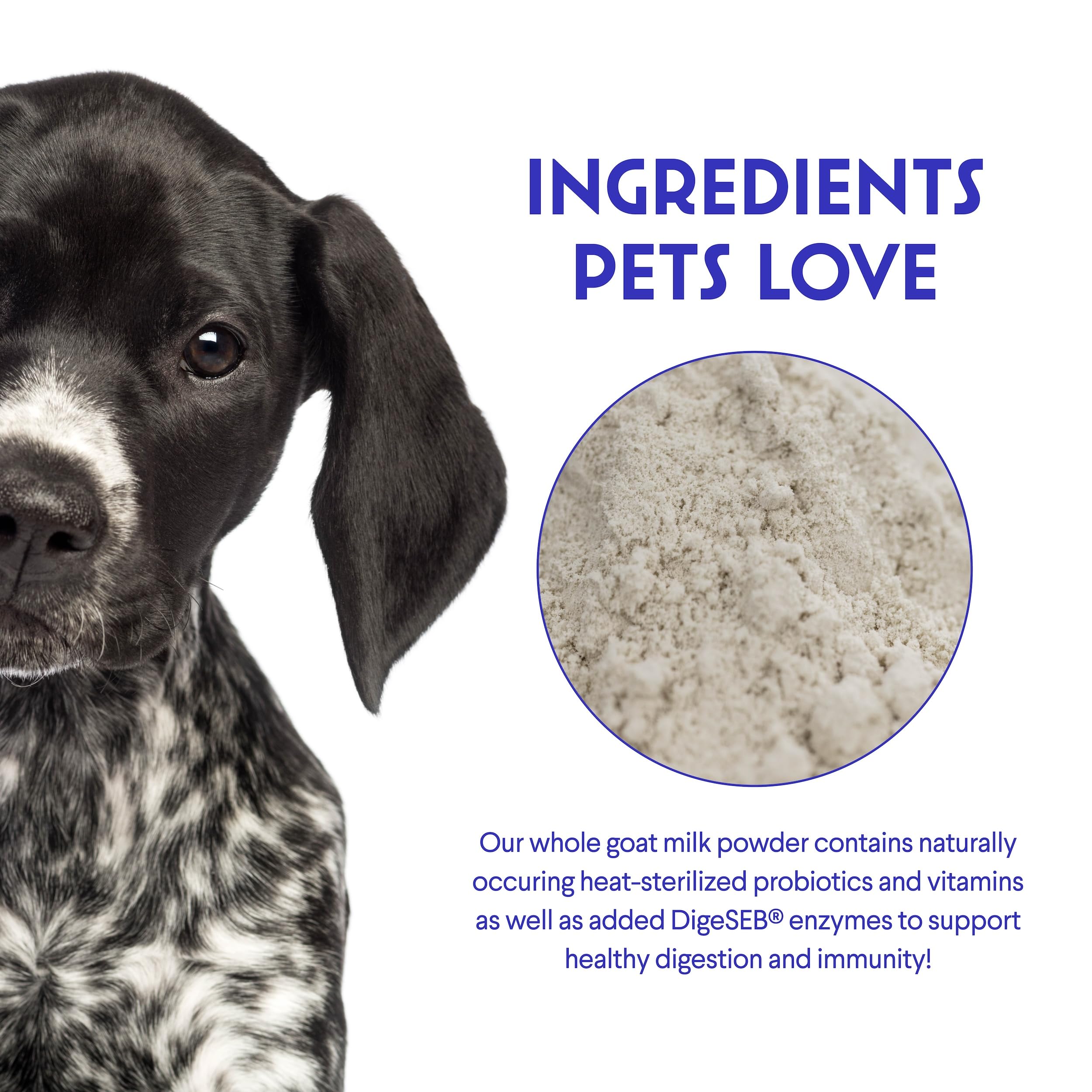 Wonder Paws goat milk powder with a convenient scoop for easy measuring.