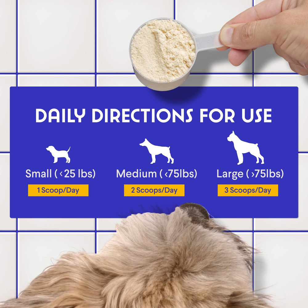 Wonder Paws goat milk powder prepared as a nourishing drink for mealtime.