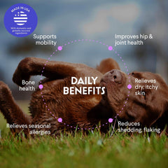 Wonder Paws salmon oil aids hip and joint mobility in dogs