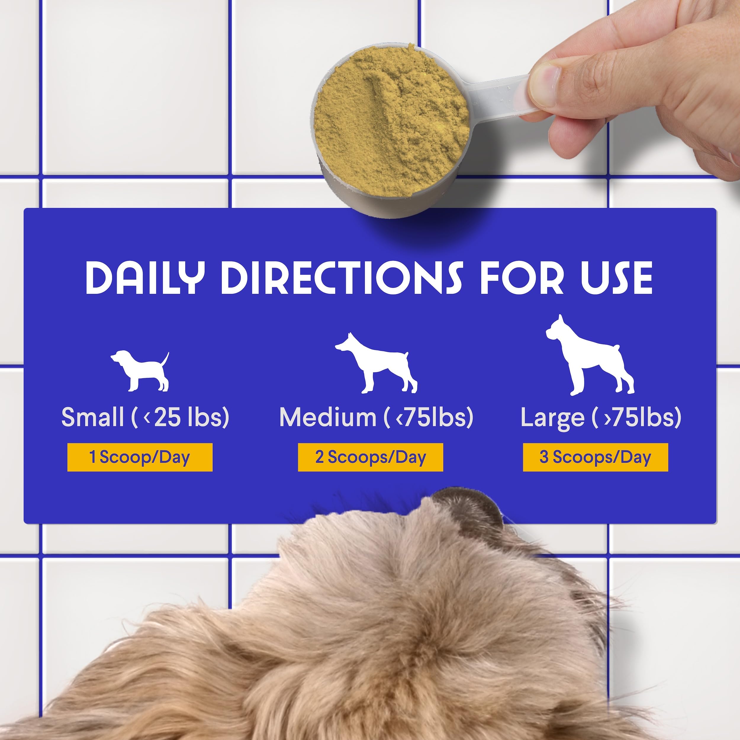 Wonder Paws hydrolyzed collagen powder for joint support in dogs