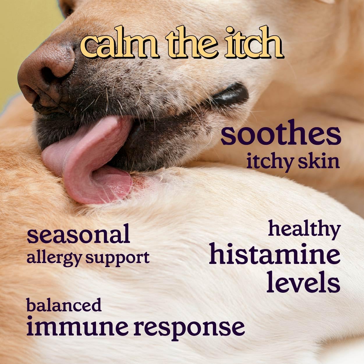 Wonder Paws immune-support ingredients chart highlights skin and immunity.