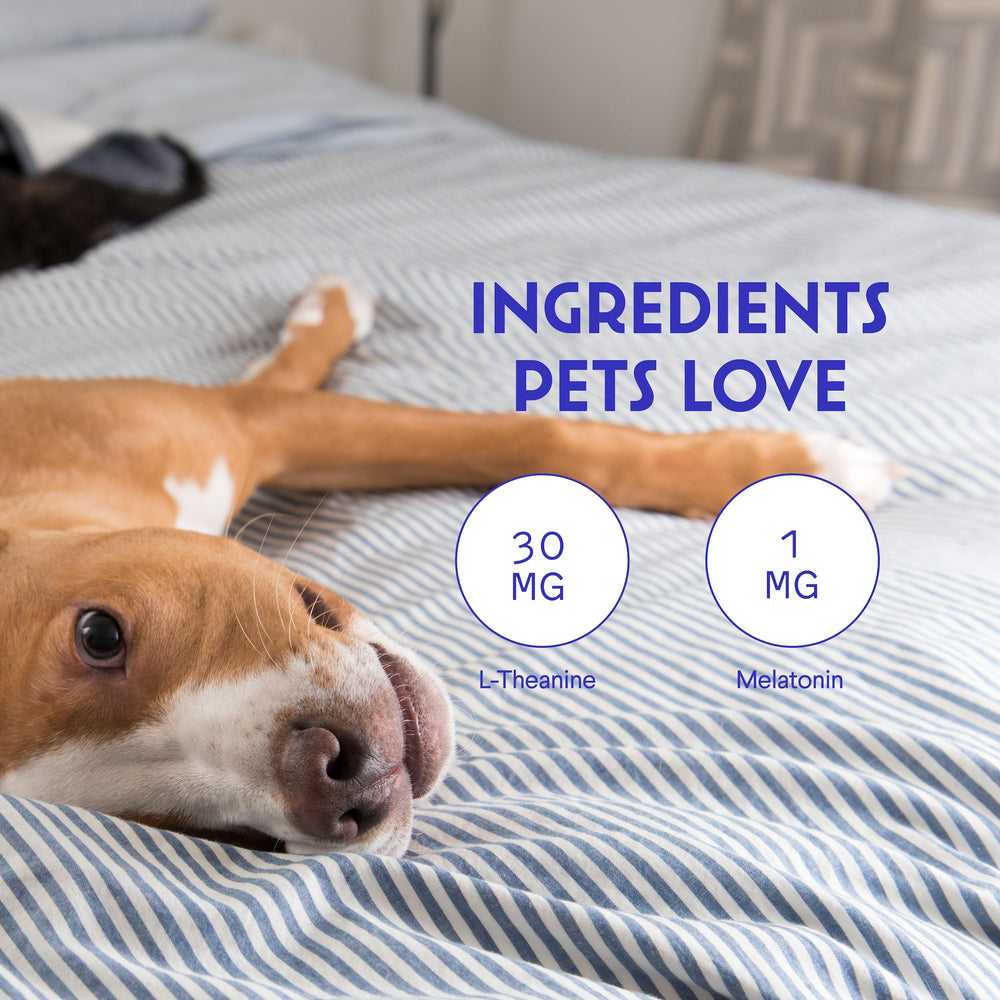 Wonder Paws melatonin with Suntheanine label highlighting calming ingredient