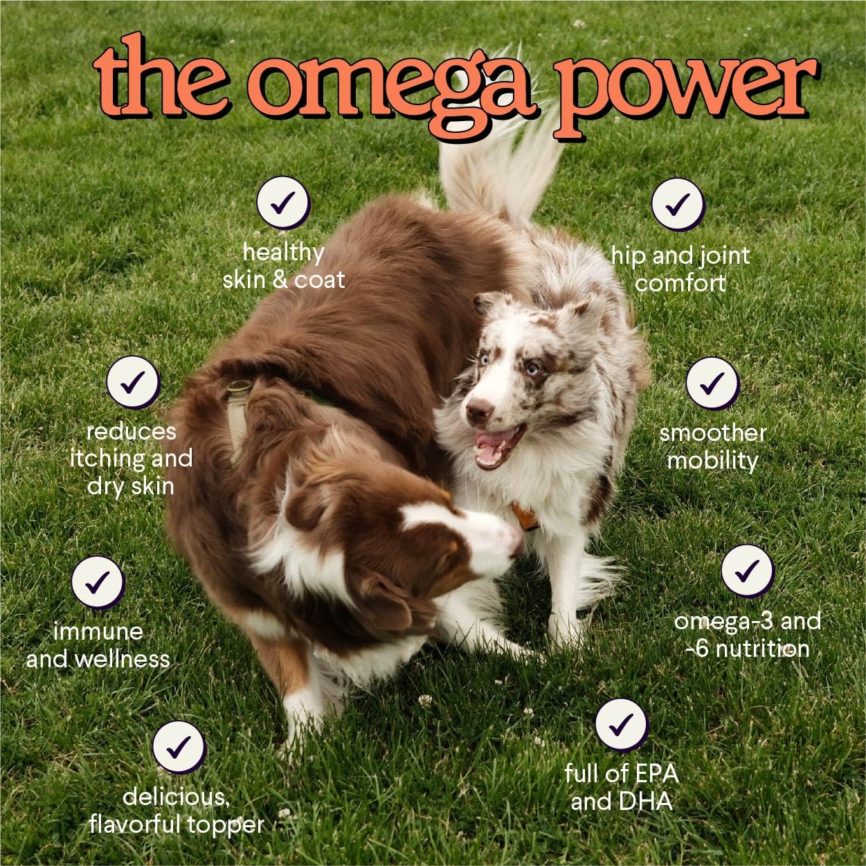 Wonder Paws MSC certified salmon oil demonstrates quality.