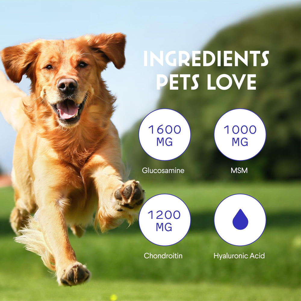 Wonder Paws NASC-certified logo indicates quality standards