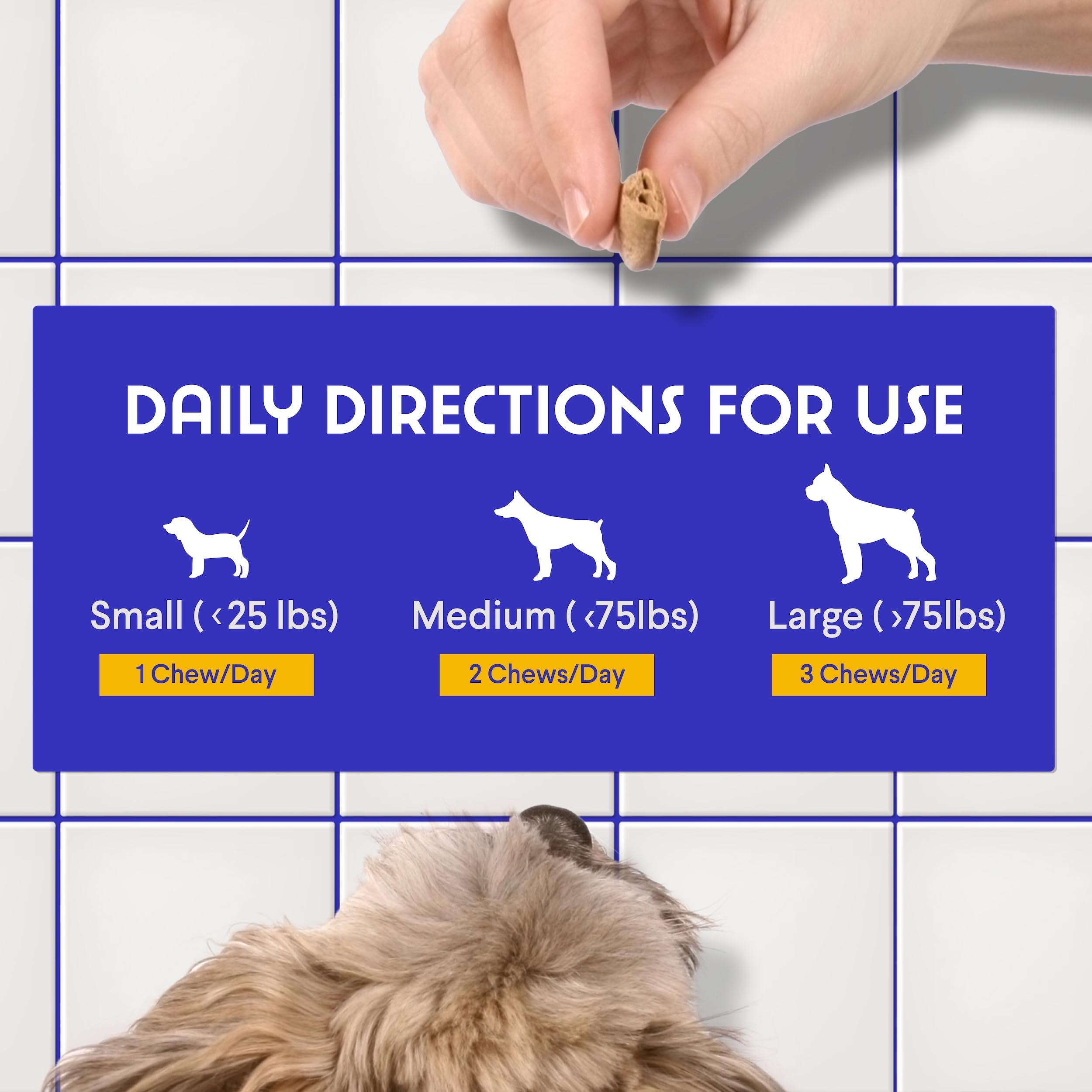 Wonder Paws Probiotics dog snack time image, easy-to-administer chewy treat
