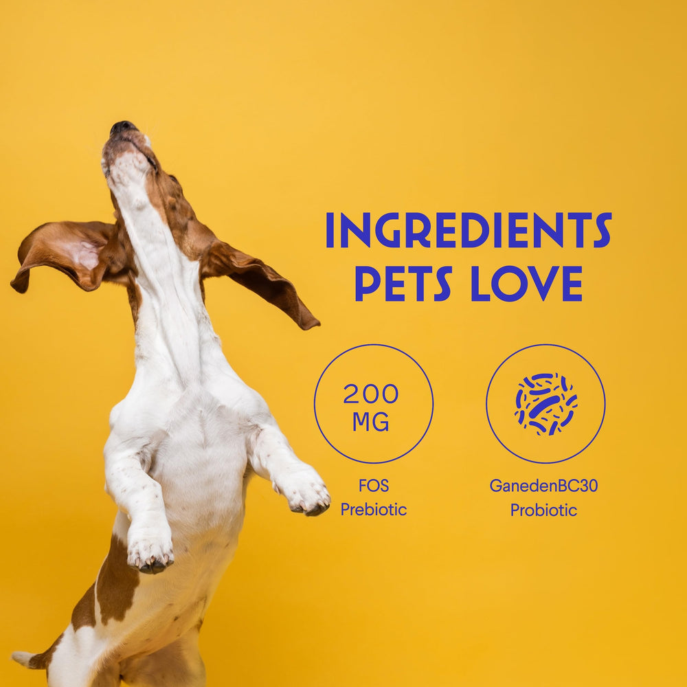 Wonder Paws Probiotics packaging front label showing premium shelf-stable formula