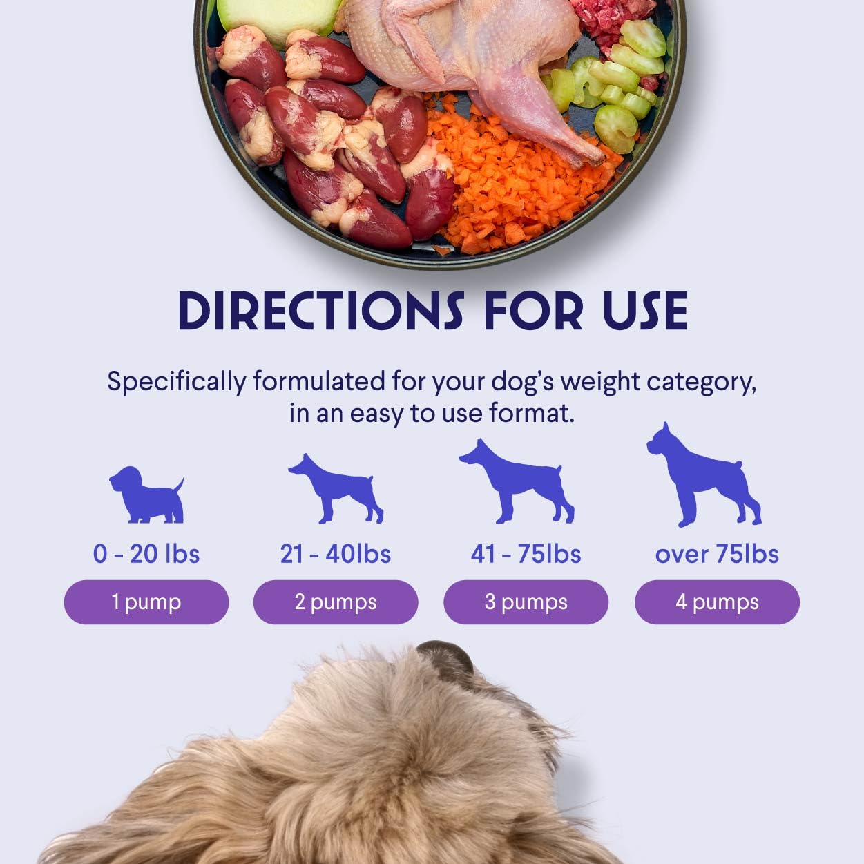Dog with a healthier-looking coat after regular WONDER PAWS salmon oil added