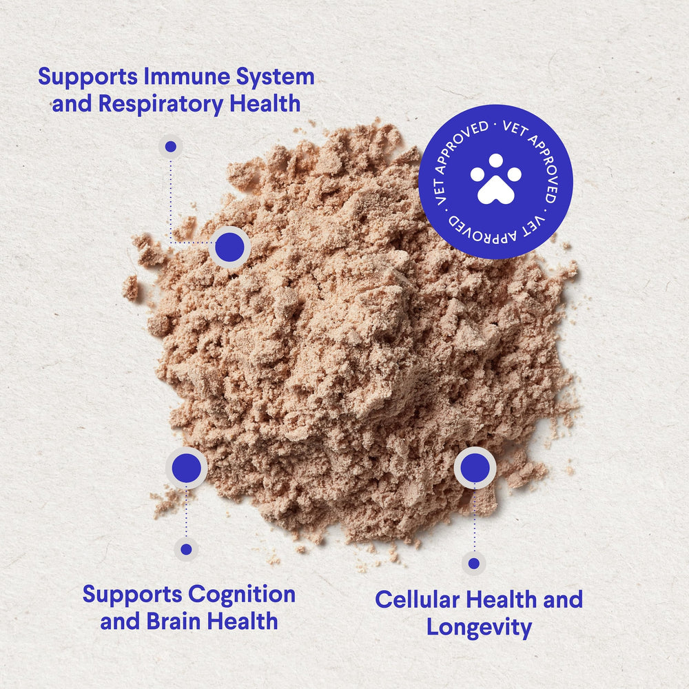Wonder Paws turkey tail mushroom image highlights immune support blend.
