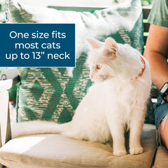 Wondercide Cat Collar break-away design enhances safety for cats around kids and pets.
