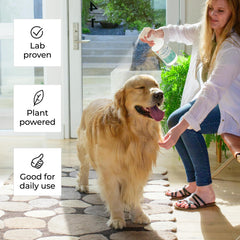 Wondercide cedar spray in dog kennel and cat condo for pest control
