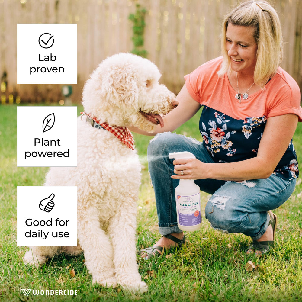Wondercide dog and cat usage demonstrates pest prevention for households.
