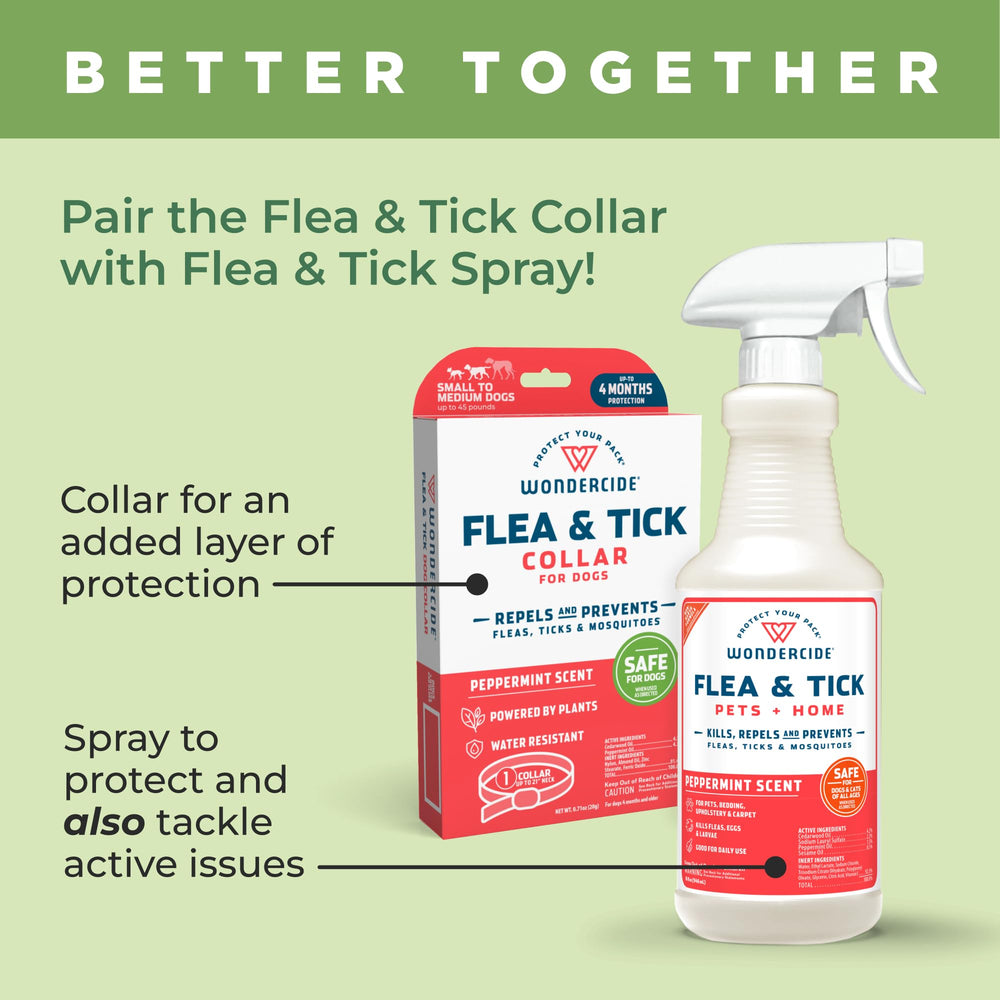 Wondercide dog collar paired with Flea and Tick Spray for layered protection