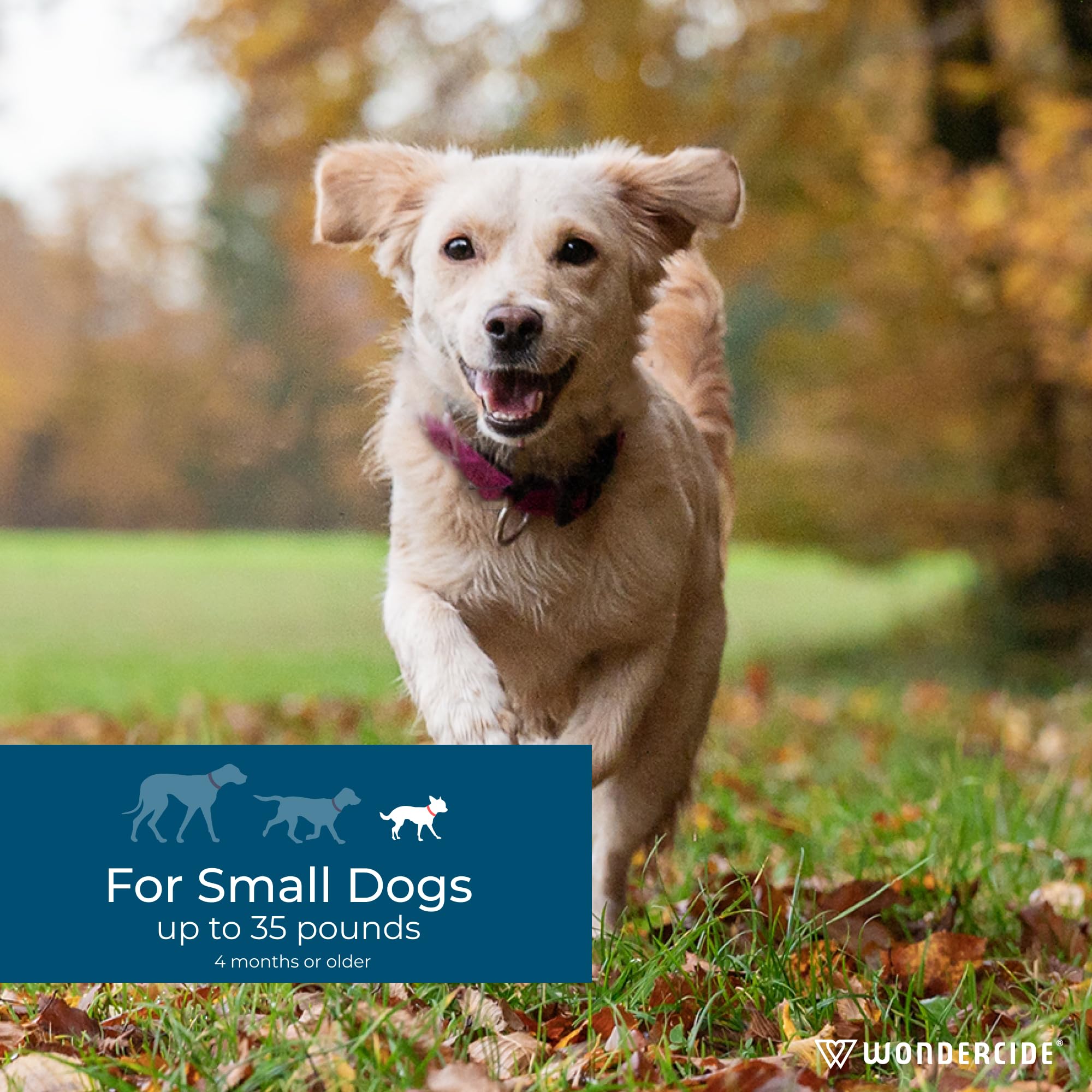 Wondercide Dog Spot-On applying action, easy squeeze for quick dosing