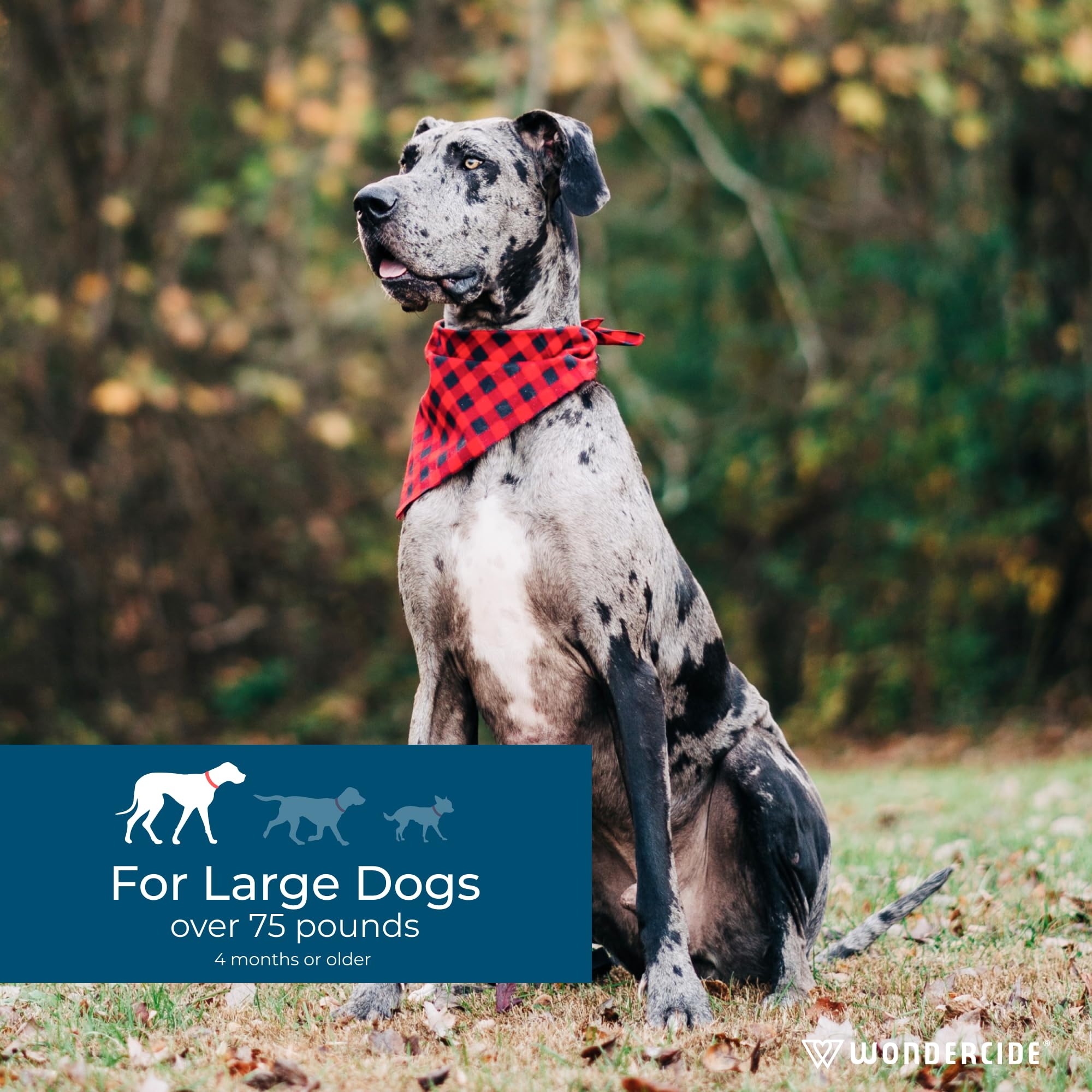 Three-tube Wondercide pack provides a three-month supply for dogs.