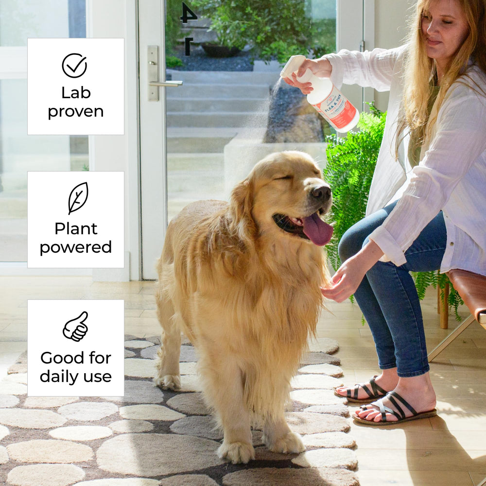Wondercide spray on home surfaces provides natural pest protection.