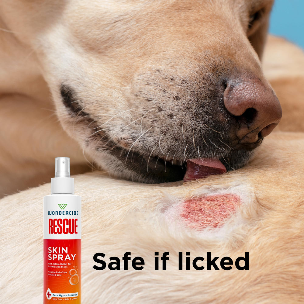 Wondercide Rescue Skin Spray on a cat's back for soothing irritation.