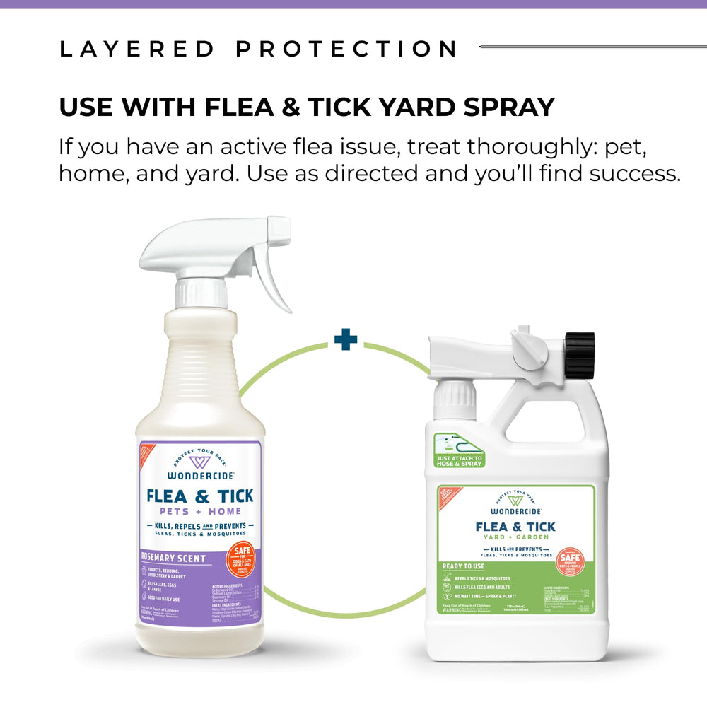 Wondercide treated furniture and carpet for in-home pest control.