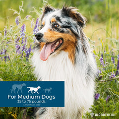 Wondercide water-resistant spot-on for dogs during baths or swims.