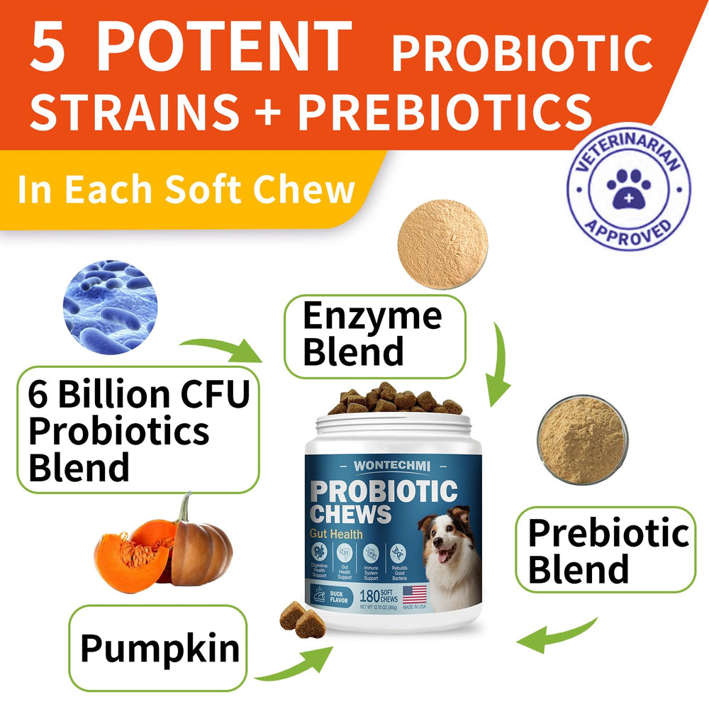 WONTECHMI Probiotics for dogs graphic showing digestive balance effects.