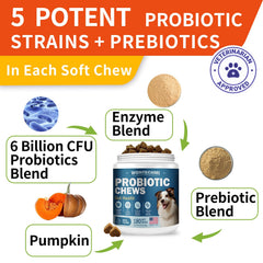 WONTECHMI Probiotics for dogs graphic showing digestive balance effects.