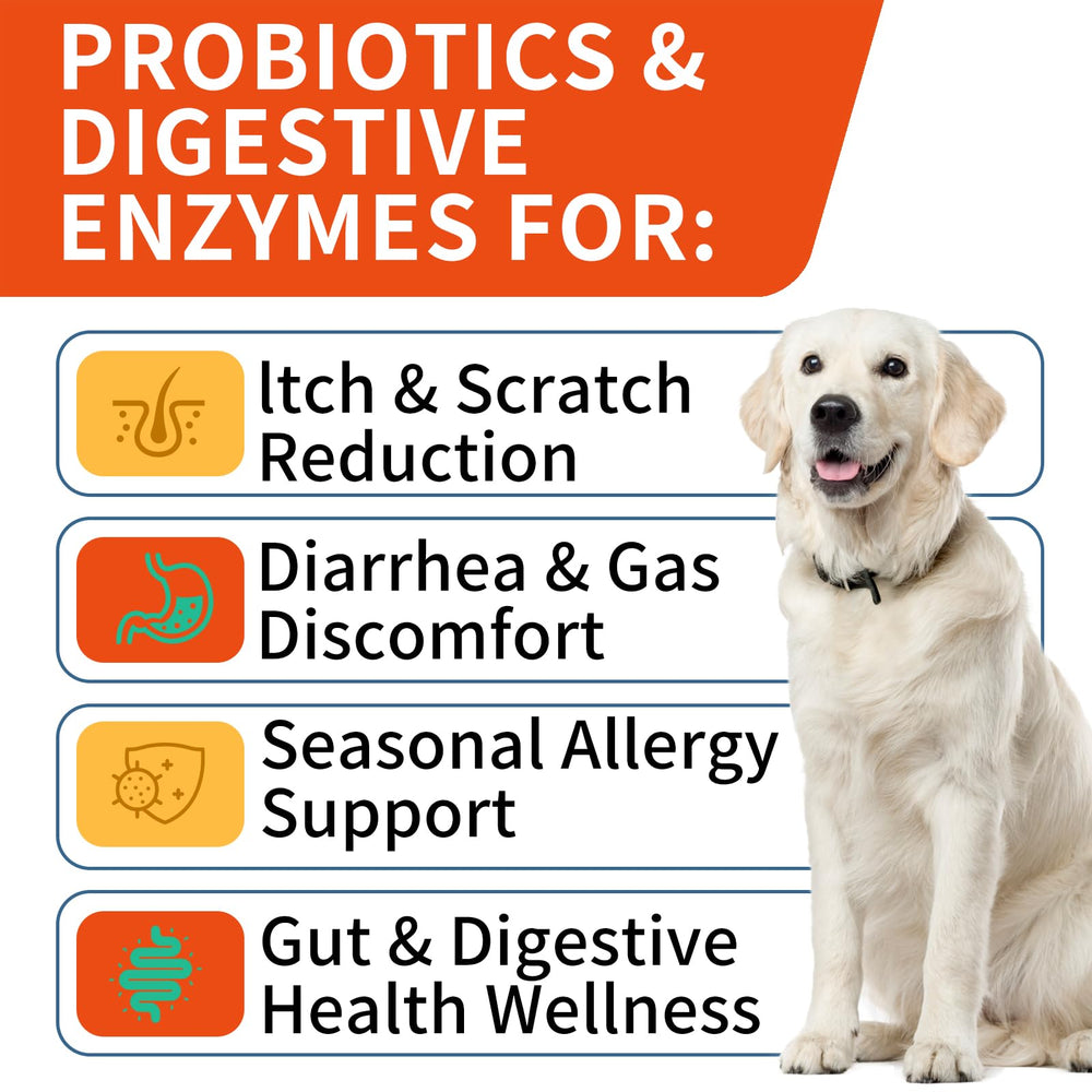 WONTECHMI dog probiotic chews on display, supports immune wellness.