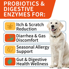 WONTECHMI dog probiotic chews on display, supports immune wellness.