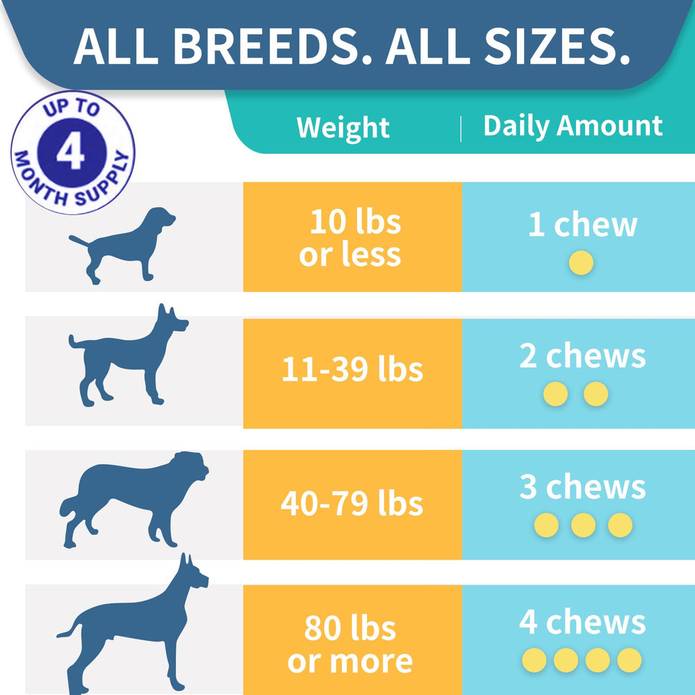 WONTECHMI dog probiotics bag highlighting natural ingredients and prebiotics.