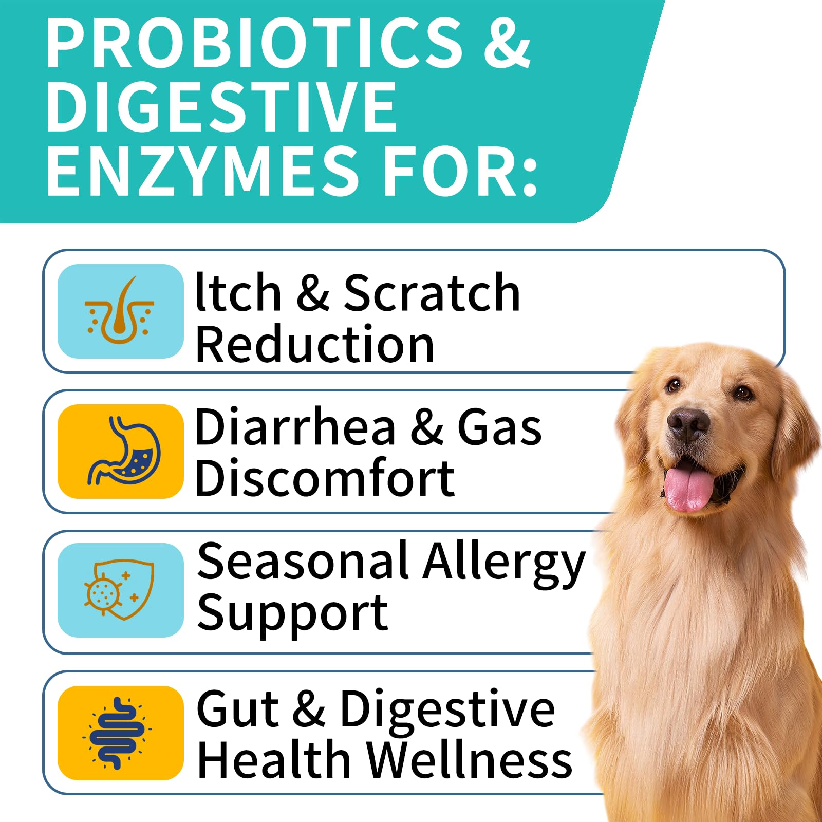 WONTECHMI packaging steak flavor highlights USA-made formula for healthy digestion.