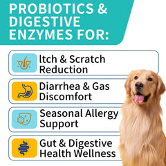 WONTECHMI packaging steak flavor highlights USA-made formula for healthy digestion.