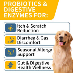 WONTECHMI Probiotics for Dogs chicken chews closeup, tasty flavor aids easy administration.