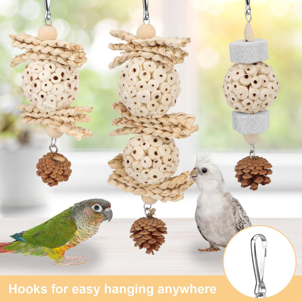 Wontee natural sola ball supports bird diversion during cage time.