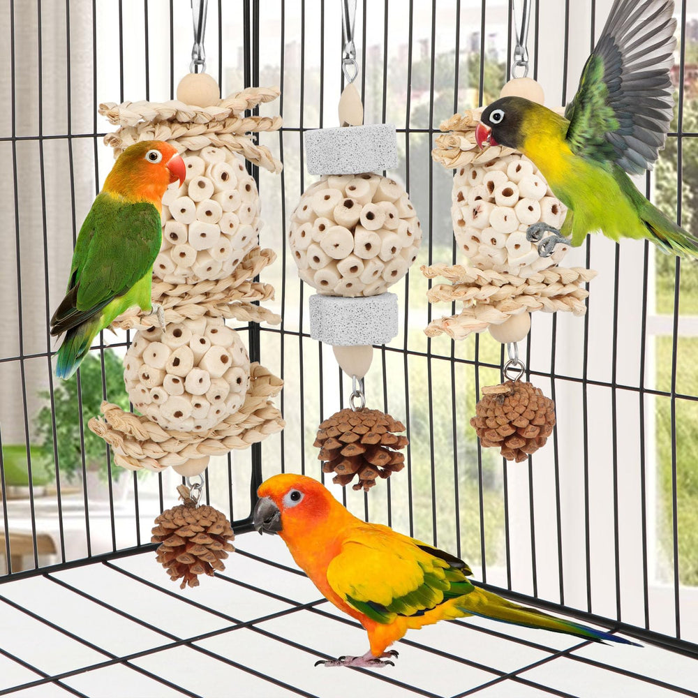 Wontee hanging toy provides enrichment and mental stimulation for birds.