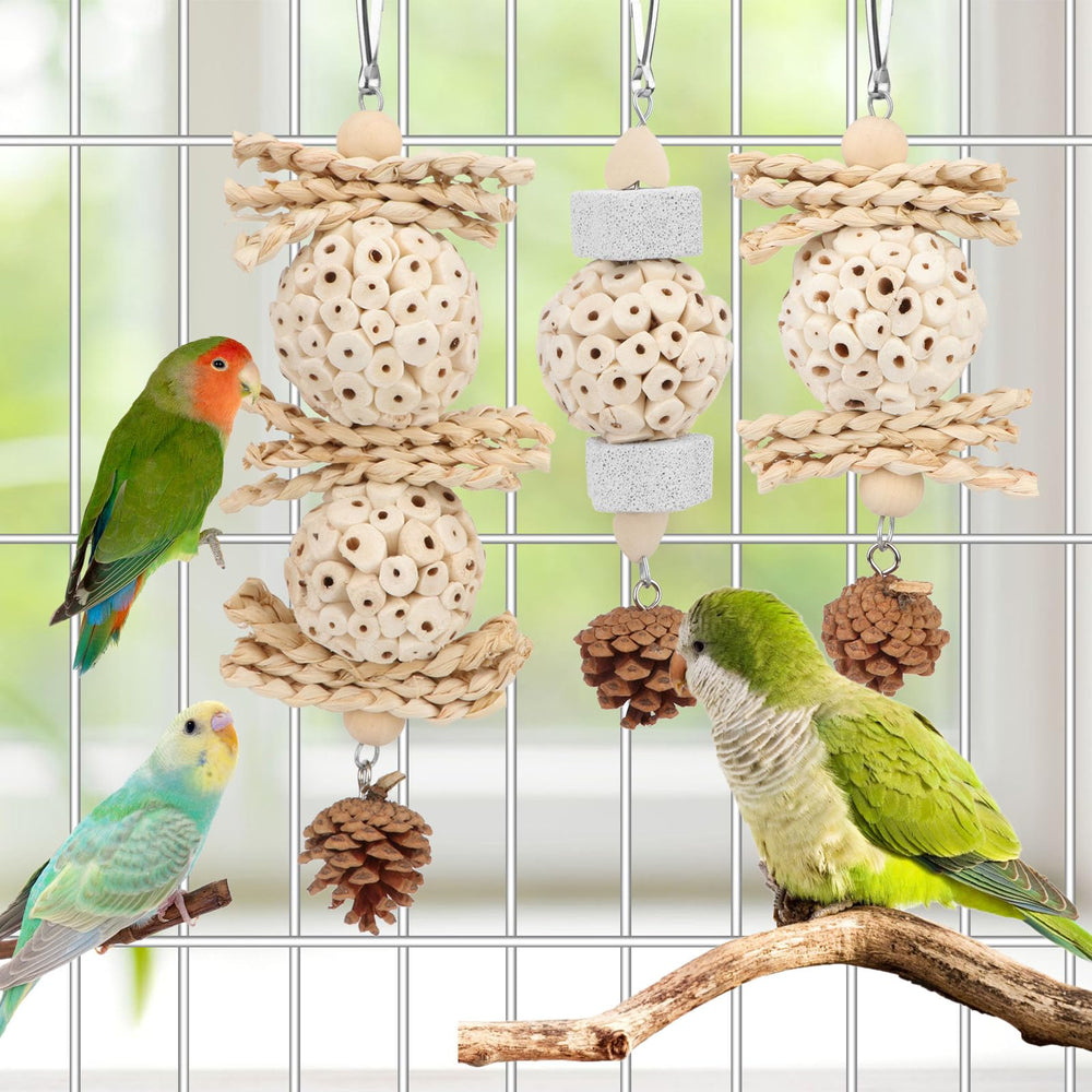 Wontee sola ball natural chew toy made from plant stems for birds' enjoyment.