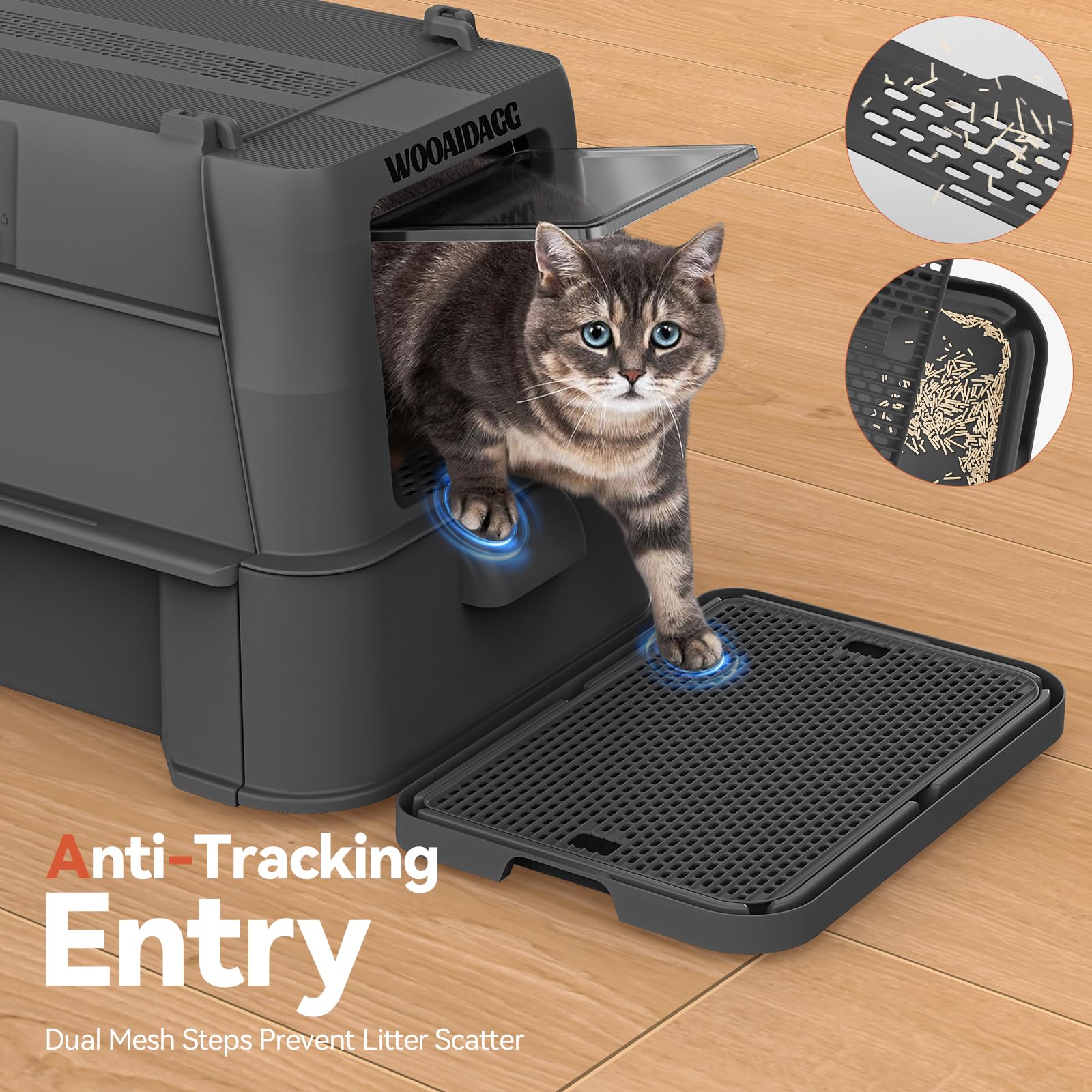 Wooaidagg extra-large size (25x17x16.5 in) accommodates cats of all sizes.