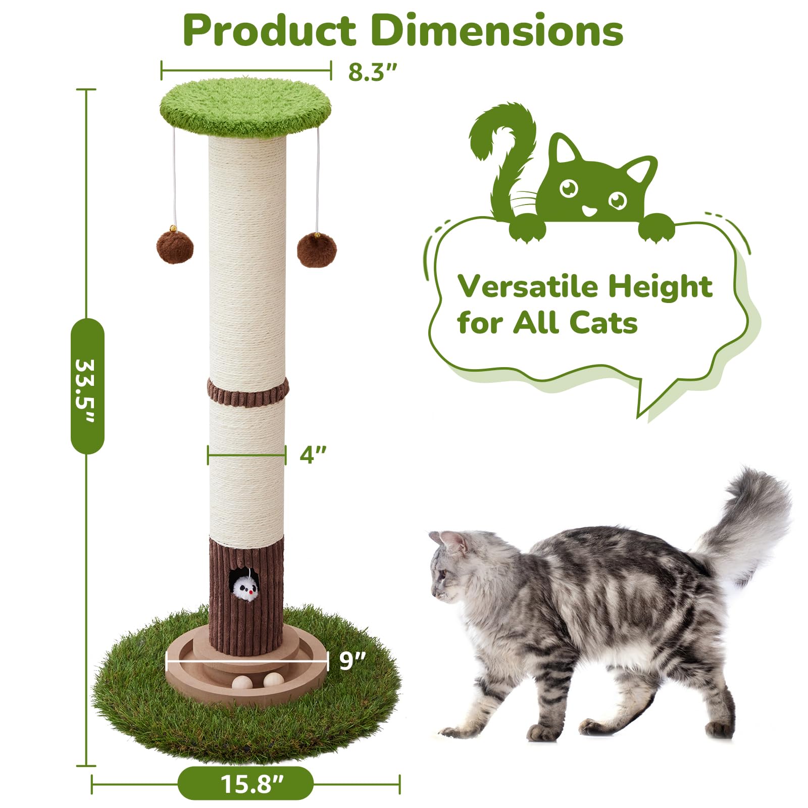 Woochpet ball track toy detail for interactive cat play.