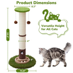 Woochpet ball track toy detail for interactive cat play.