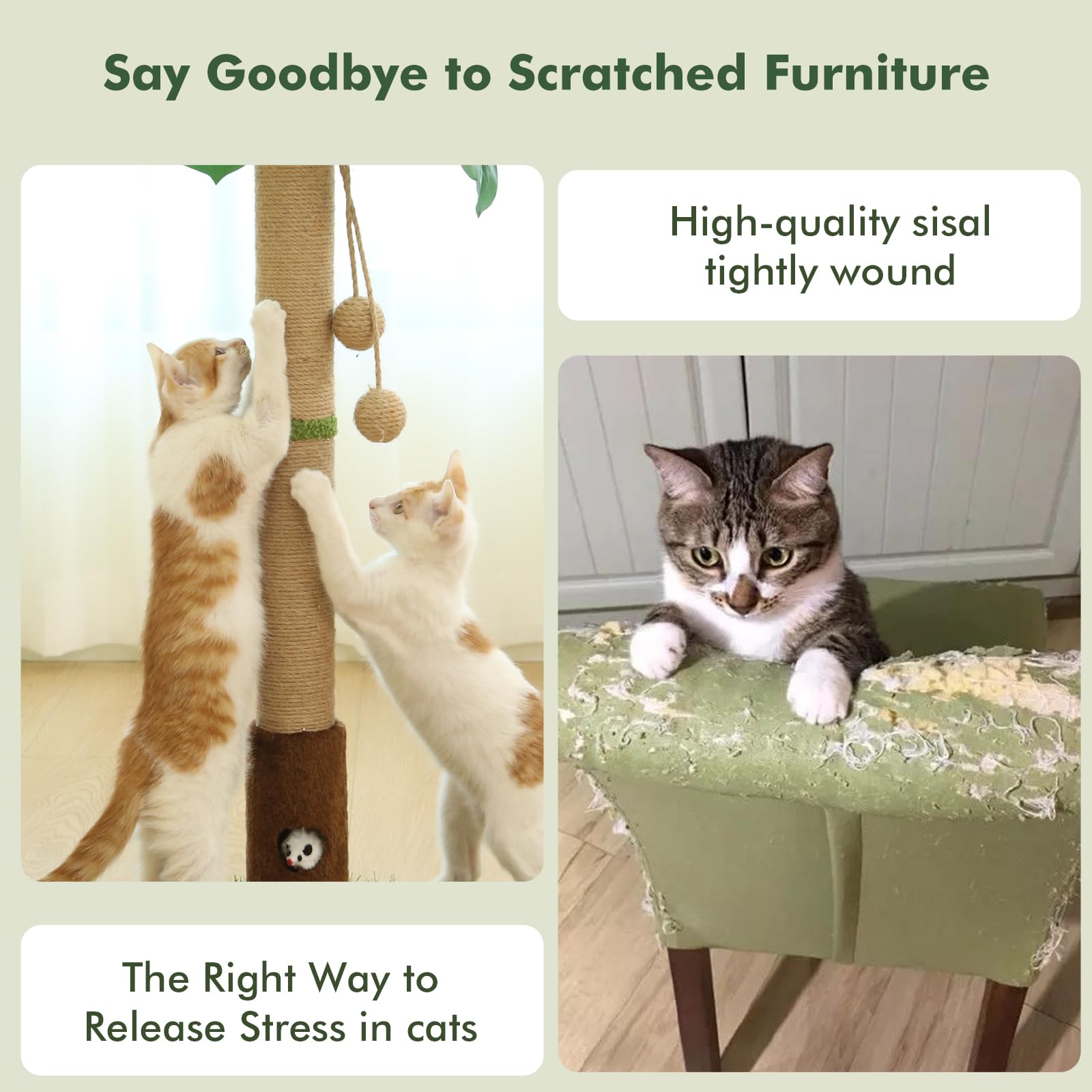 Woochpet base-stability-plush-fabric emphasizes stable, comfy base.