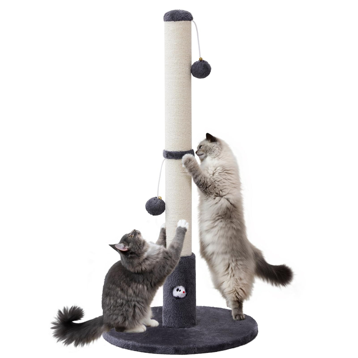 Woochpet base with stable design for safe, long-lasting indoor play.