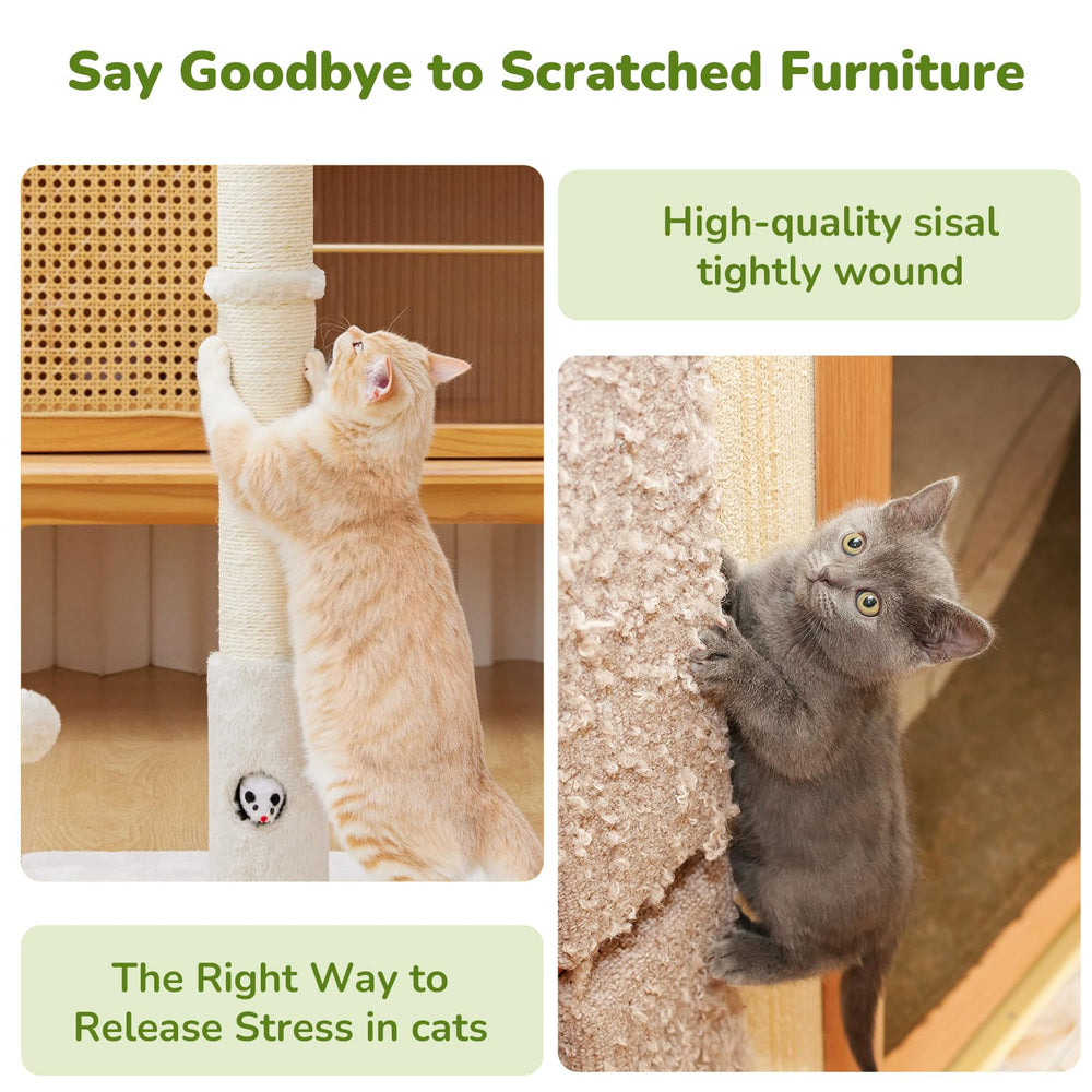 Woochpet dual hanging toys image for interactive play.