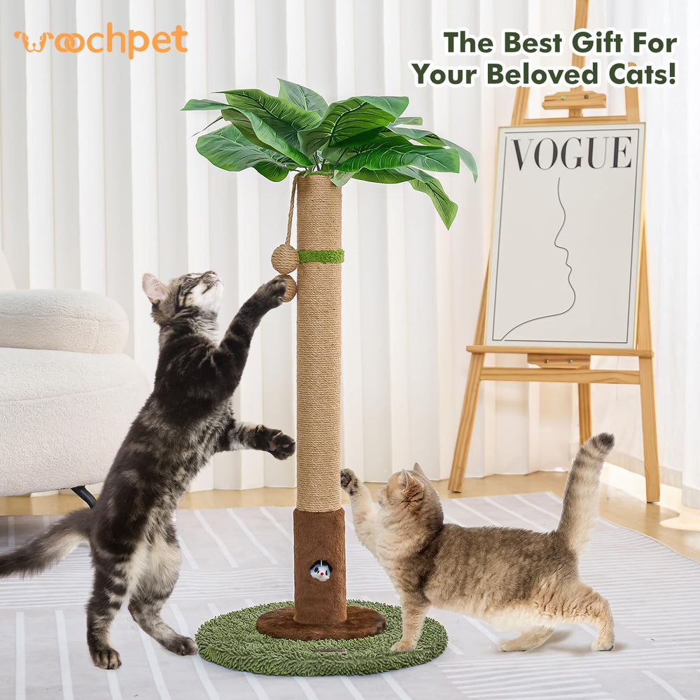 Woochpet palm tree top adds greenery and visual appeal.