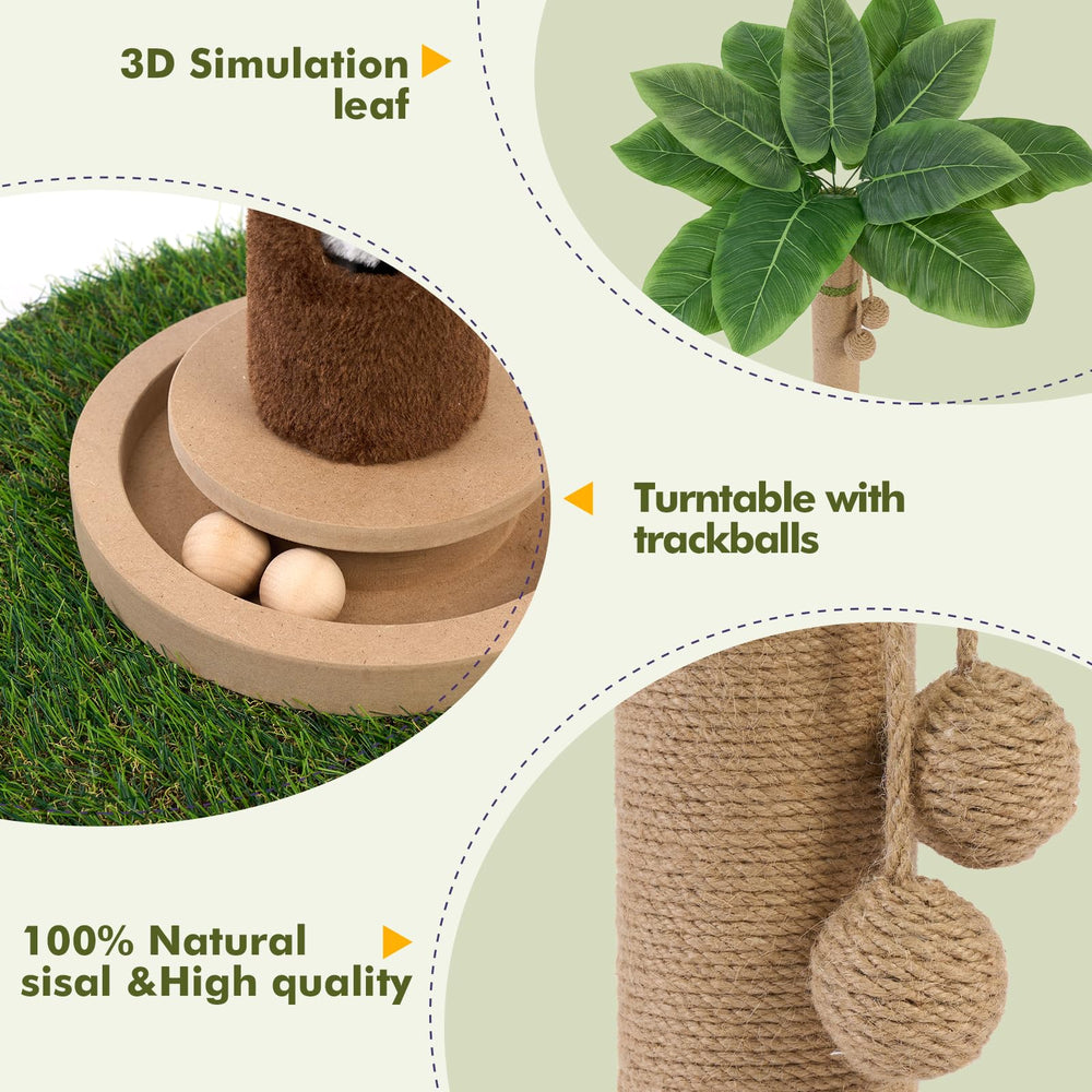 Woochpet cat-toy-wooden-ball on the post to spark curiosity.