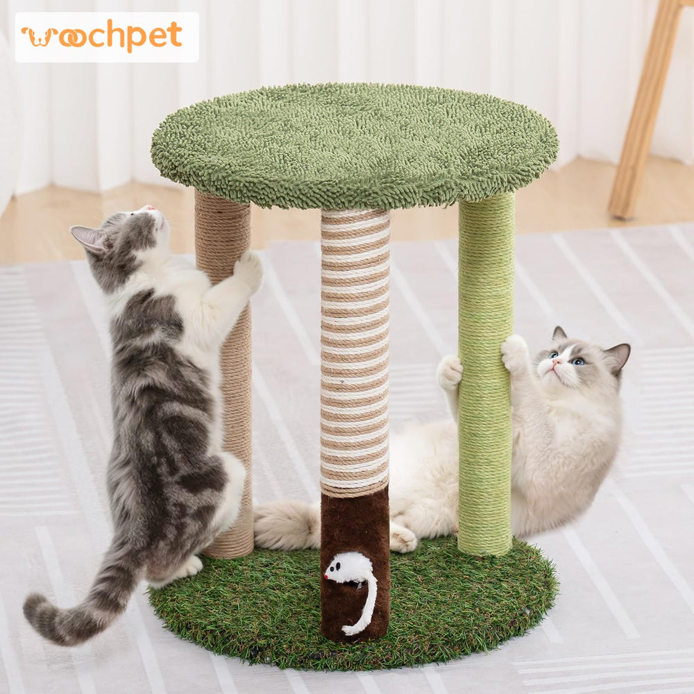 Woochpet indoor-friendly cat tree with compact footprint for apartments.