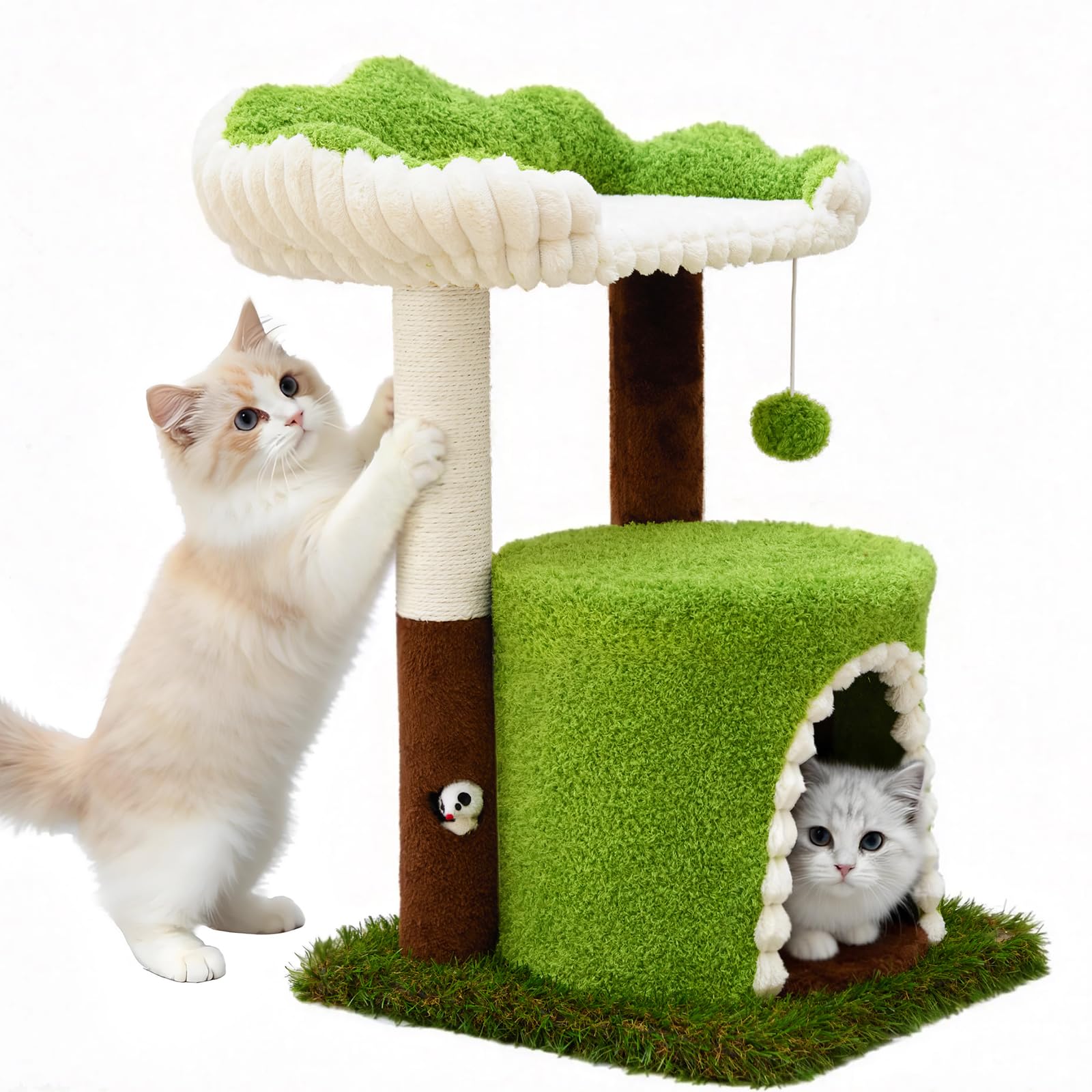 Woochpet kitten-friendly height provides easy access and safe climbing